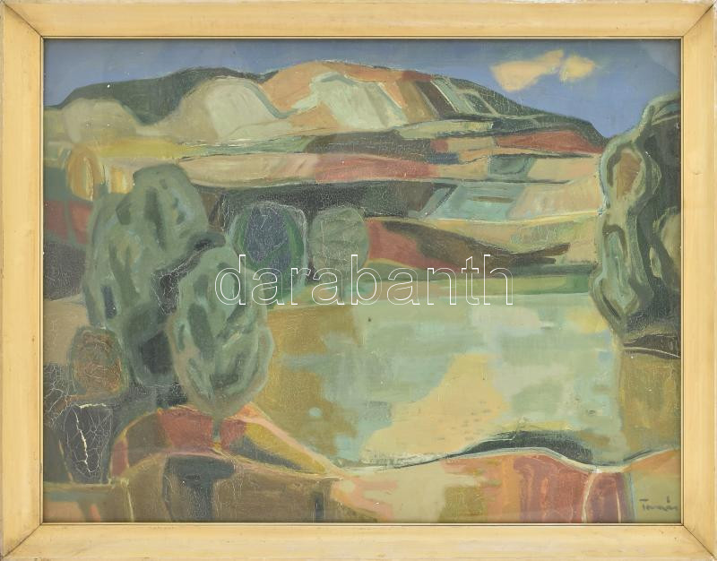 Tamás Ervin (1922-1996): Vízparton II. Olaj, vászon, jelezve jobbra lent, kissé sérült. Hátoldalán autográf felirattal és Képcsarnok Vállalat címkéjével. Üvegezett keretben. 60×80 cm