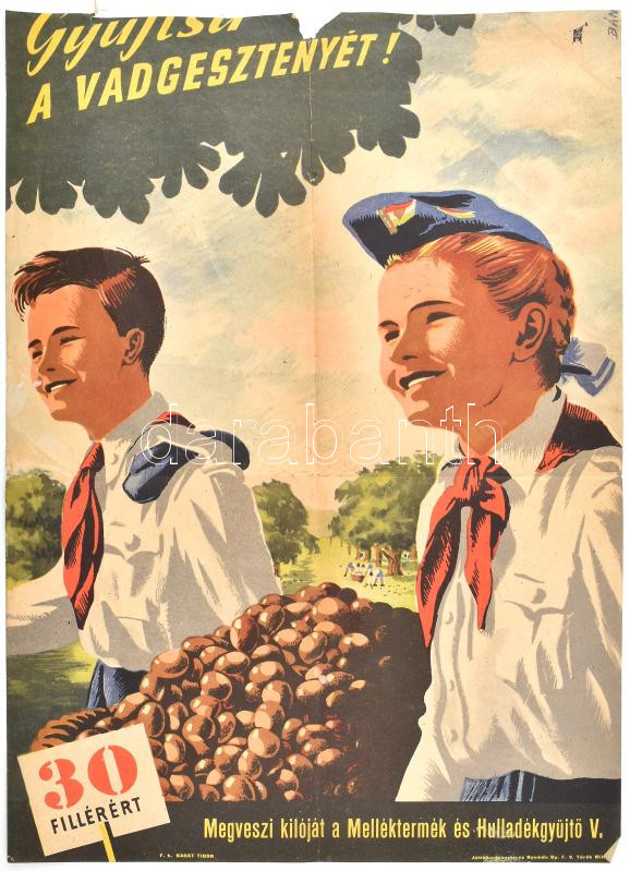 Gyüjtsd a vadgesztenyét! Szocreál propaganda plakát, ofszet, papír, sérült, hiányos, 54,5x40 cm