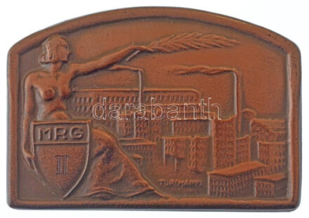 ~1938. 'MRG (Magyar Ruggyantaárugyár) II.' bronz sportplakett eredeti tokban (51x73mm) T:2