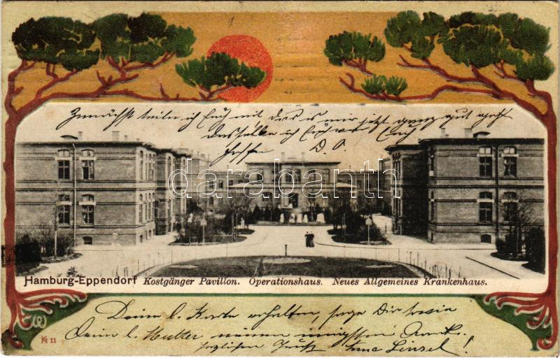 1909 Hamburg-Eppendorf, Kostgänger Pavillon, Operationshaus, Neues Allgemeines Krankenhaus / hospital. Art Nouveau, flower, embossed litho (EK)