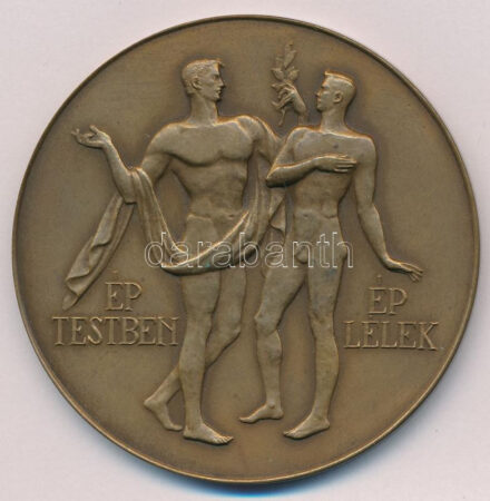 Reményi József (1887-1977) 1946. 'Ép testben ép lélek / A Magyar Demokrácia a Testedzésért 1946' bronz emlékérem (60mm) T:1-