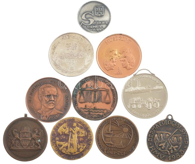 10db-os vegyes orvosi emlékérem és emlékérem tétel, közte '100 éves a botanikai szakosztály, Dermatológiai Symp 1988, Munkás Testedző Egyesület' stb. T:1-2-