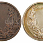 1915. 'ISTE - Győztesnek' kétoldalas, bronz és ezüstözött bronz díjérem (2xklf) Szign.: Csillag T. (46mm) T:1- patina - Image 2