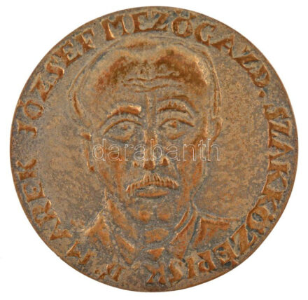 Rétfalvi Sándor (1941-2021) 'Dr. Marek József Mezőgazdasági Szakközépiskola / Mohács 1930-1980' kétoldalas bronz emlékérem (78mm) T:2 patina, kis ph CS 405.