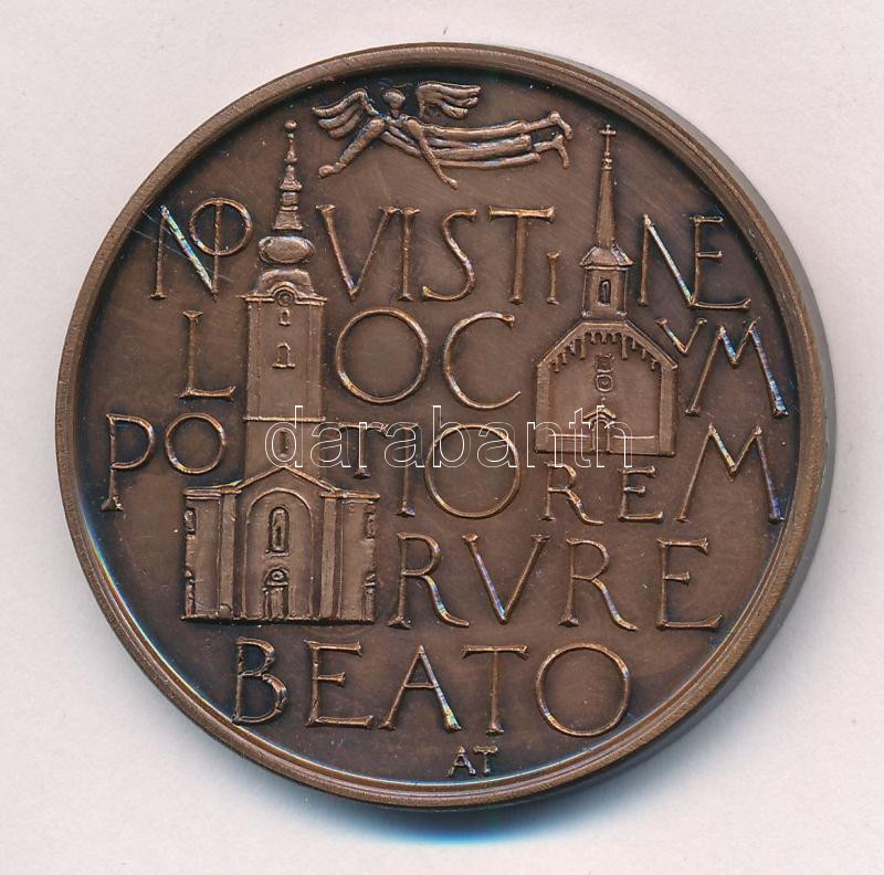Asszonyi Tamás (1942-) 1991. 'Derecske / NO VISTINE LOCVM POTIOREM RVRE BEATO' kétoldalas bronz emlékérem (42,5mm) T:1,1- - Image 2