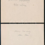 cca 1910-1920 Marosvásárhelyi Alsó-utca 2 db fotója, a hátoldalon feliratozva, 8x11 cmx2 - Image 2