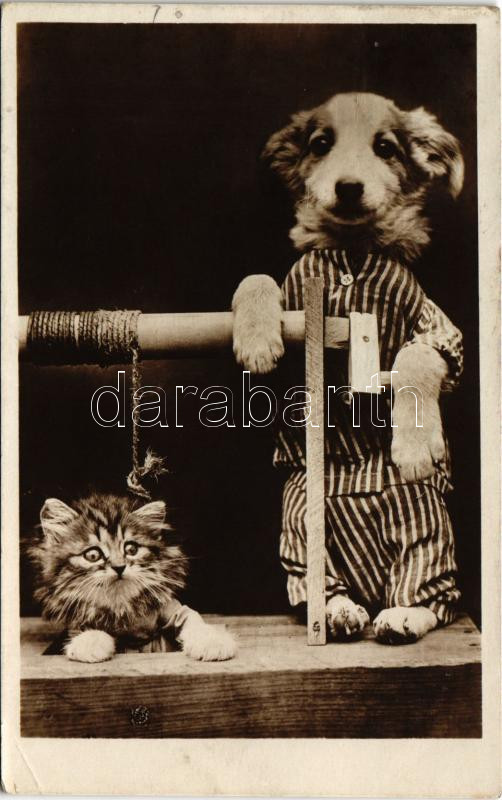 Circus, dog show (EK)
