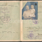 1924 A Magyar Királyság által kiállított fényképes útlevél / Hungarian passport