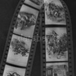 Akt repró negatívok, 6 db kisfilm tekercs - Image 2