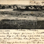 1905 Kishegyes, Mali Idos; látkép a vasútról, kerékpár. Halász Ferenc kiadása / general view from the railway station, bicycles, cattle (fl)