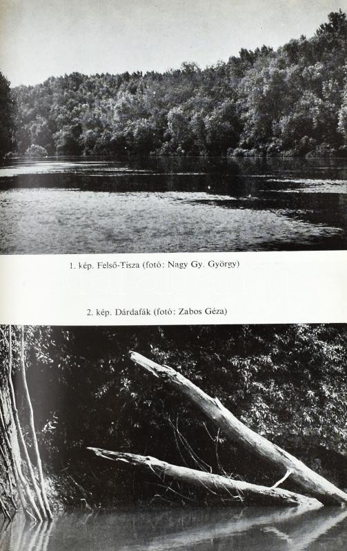 Zabos Géza: Horgászoknak a Tiszáról. Bp., 1983., Mezőgazdasági-MOHOSZ. Kiadói kartonált papírkötés. - Image 2