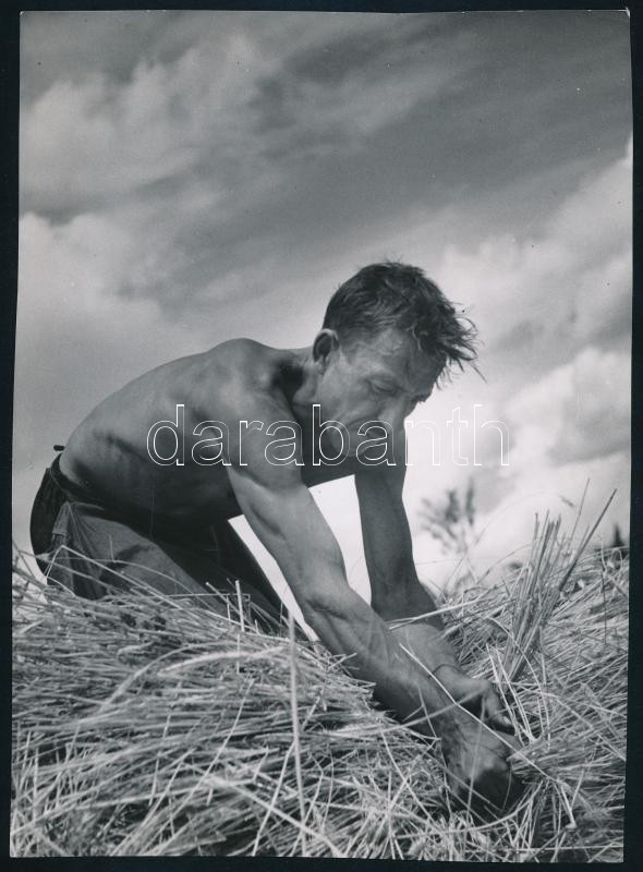 cca 1930-1940 Szendrő István (1908-2000): Kévekötő napszámos (fotóművészeti alkotás), hátoldalán pecséttel jelzett fotó, 23x17 cm