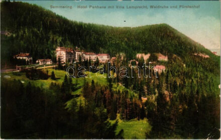 Semmering, Hotel Panhans mit Villa Lamprecht, Waldruhe und Fürstenhof / hotel, villas (EK)