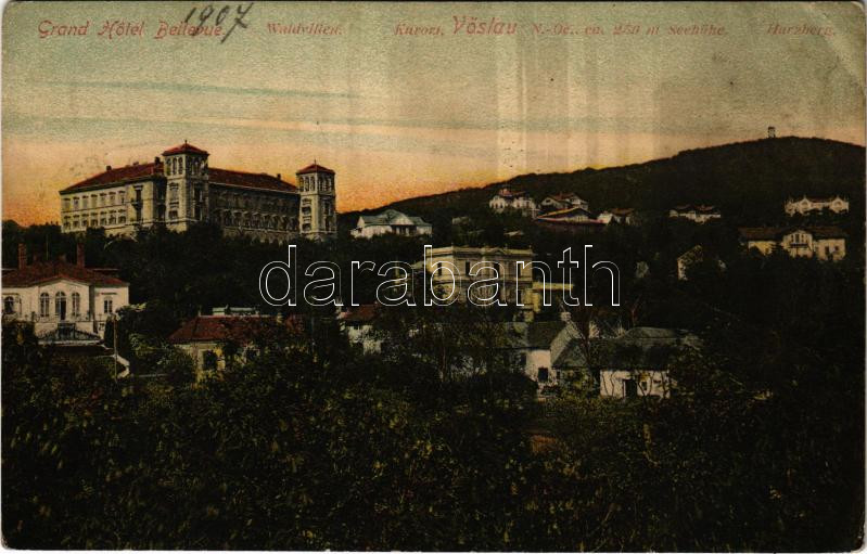 1907 Bad Vöslau, Grand Hotel Bellevue, Waldvillen / hotel, villas, spa (fa)