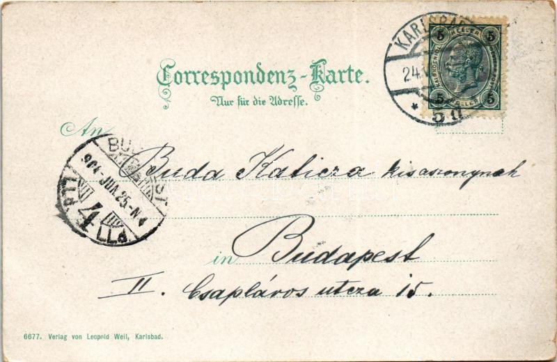 1904 Karlovy Vary, Karlsbad; Café Kaiserpark (EK) - Image 2