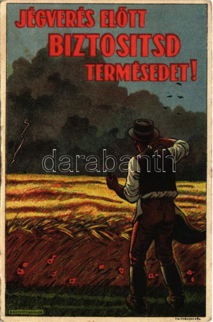 Jégverés előtt biztosítsd a termésedet! Magyar mezőgazdasági propagandalap. Bruchsteiner és fia. Ez a levelezőlap öt írott szóval bélyeg nélkül elküldhető / Hungarian agricultural propaganda card against hailstorms (lyuk / pinhole)