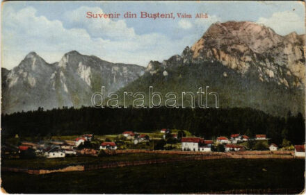 Busteni, Valea Alba (fl)