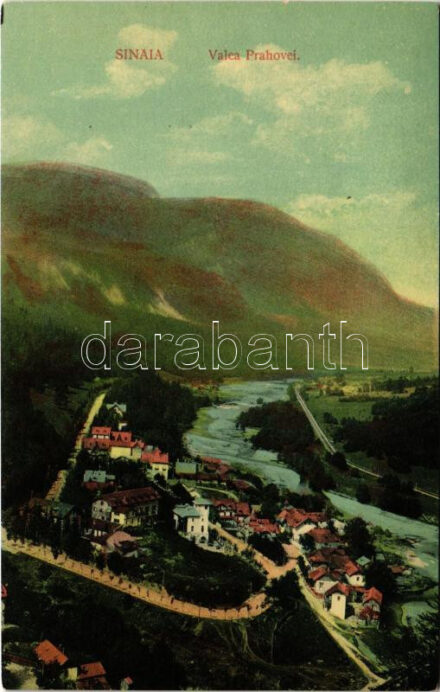 Sinaia, Valea Prahovei / valley (wet damage)