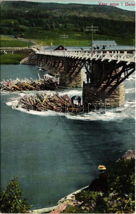 Dalen, Vaar oppe / bridge