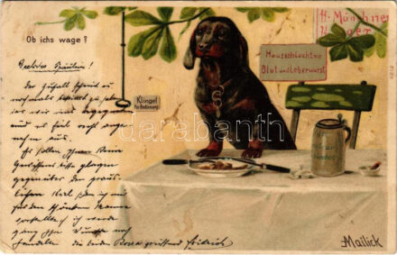1901 Ob ichs wage? / Dachshund dog. litho s: Mailick (EK)