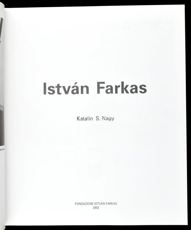 S. Nagy Katalin: István Farkas. Bp., 2002, Foundazione István Farkas, 184 p. Olasz nyelven. Gazdag képanyaggal illusztrálva. Kiadói kartonált papírkötés, egészen kis kopásnyomokkal, jó állapotban. Farkas István (1887-1944.) - Image 2