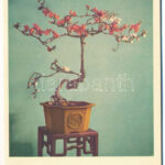 China - Miniature Landscape Gardening - modern képeslapfüzet 12 képeslappal / modern postcard booklet with 123 postcards - Image 2