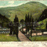 1904 Lucski-fürdő, Lúcky Kúpele (Liptó); látkép / spa, general view. O.Z.M. (EM)