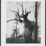 Eugene Atget (1857-1927): Route, Amiens, fotóreprodukció, hátoldalon feliratozva, 26×20 cm