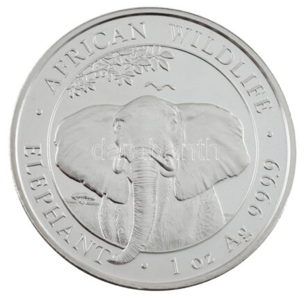 Szomália 2021. 100Sch Ag 'Afrikai vadvilág- elefánt' (1oz/0.999) T:PP Somali Republic 2021. 100 Schillings Ag 'African Wildlife- Elephant' (1oz/0.999) C:PP