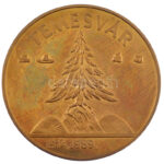 1989. 'Temesvár 1514,1989 / Ne hagyd el Erdélyt, Erdélyt Istenem' aranyozott fém emlékérem (65mm) T:1,1- (eredetileg PP)