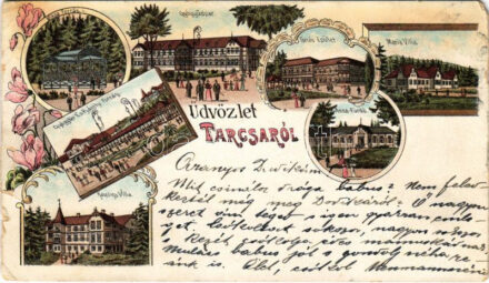 1901 Tarcsa, Tarcsafürdő, Bad Tatzmannsdorf; Miksa-forrás, Gyógyudvar, Forrás épület, Gyógytér és Károly-forrás, Karolina villa, Mária villa, Anna fürdő / spa, spring source, villa, bath. Art Nouveau, floral, litho (b)