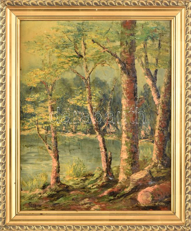 Olvahatatlan (Czinege?) jelzéssel: Vízparti fák. Olaj, farost. Dekoratív fakeretben. 50x40 cm