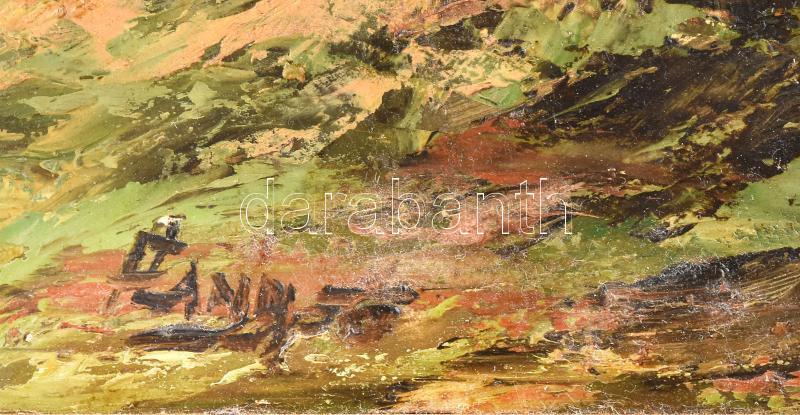 Olvahatatlan (Czinege?) jelzéssel: Vízparti fák. Olaj, farost. Dekoratív fakeretben. 50x40 cm - Image 2