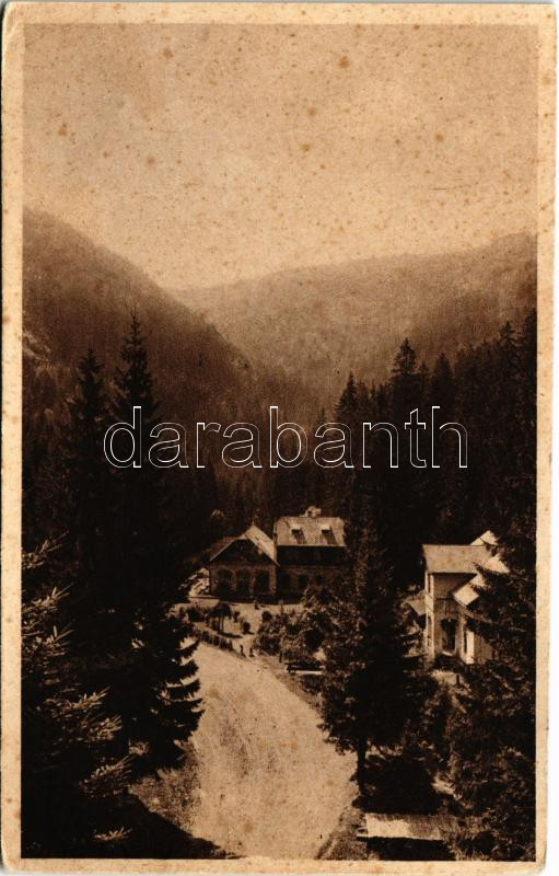 Körmöcbánya, Kremnitz, Kremnica; Villy / Villen / Zólyomvölgy, nyaralók / valley, villas (fl)