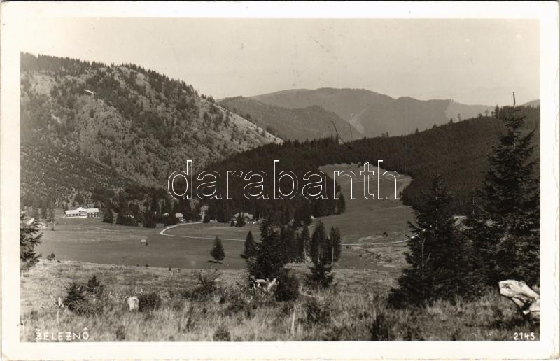1939 Zseleznó, Zelezno (Németlipcse, Partizánska Lupca); látkép / general view, spa