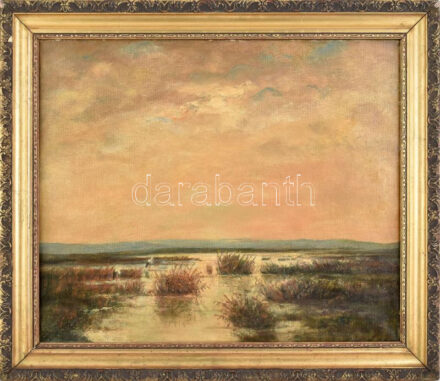 Jelzés nélkül: Gólyák a nádasban. Olaj, vászon. Keretben. 50x60 cm