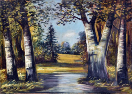 Olvashatatlan jelzéssel (Világi?): Erdei táj. Olaj, vászon, kartonra kasírozva. 54x74 cm.