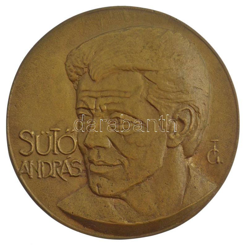 Tőrös Gábor (1934-2021) DN 'Sütő András' bronz emlékérem (140mm) T:1- felül peremén lyukasztott