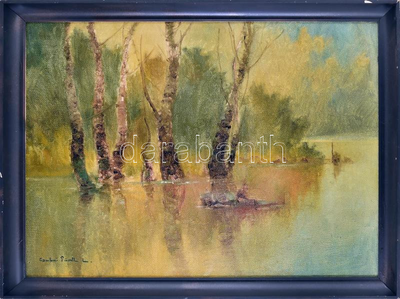 Csabai Pantl László (1904-1982): Vízparti táj. Olaj, vászon. Jelzett. Fakeretben. 60x80 cm
