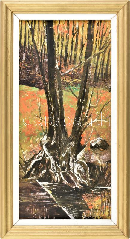 Makó András (1959-): Őszi táj. Olaj, farost. Jelzett. Dekoratív fakeretben. 37x18 cm