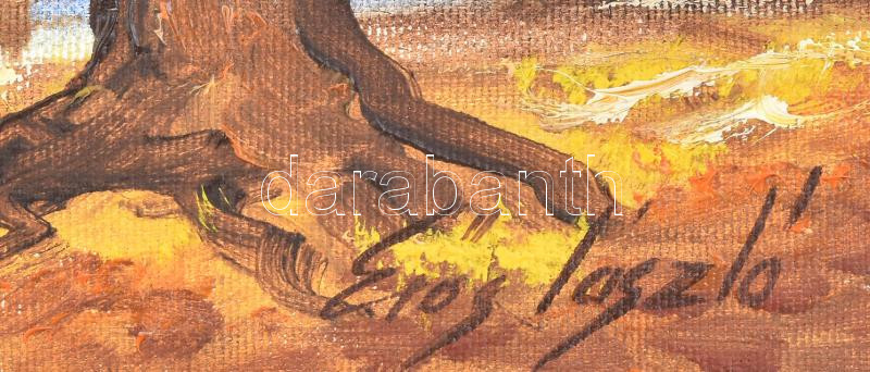 Erős László (?-): Erdő mélyén. Olaj, vászon, jelezve jobbra lent. Dekoratív fakeretben. 40×55 cm - Image 2