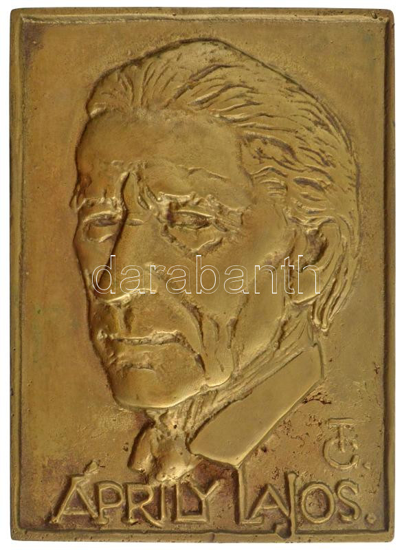 Tőrös Gábor (1934-2021) DN 'Áprily Lajos' öntött bronz szögletes emlékplakett (145-107mm) T:1- hátoldalán furat