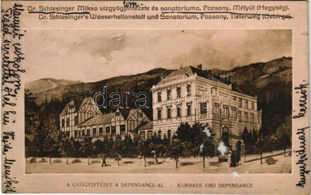 1916 Pozsony, Pressburg, Bratislava; Mélyút (Hegység), Dr. Schlesinger Miksa vízgyógyintézete és szanatóriuma / Dr. Schlesinger's Wasserheilanstalt und Sanatorium, Tieferweg (Gebirge), Kurhaus und Dependance / hydrotherapy spa, water