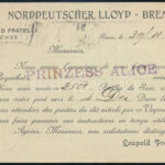 1906 Norddeutscher Lloyd Prinzess Alice hajó előnyomozz levelezőlap - Image 2