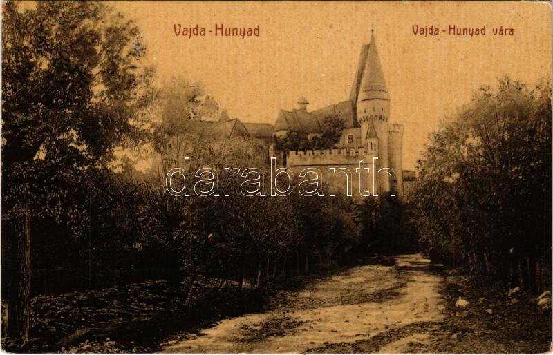 Vajdahunyad, Hunedoara; vár / castle. W.L. ? No. 480.