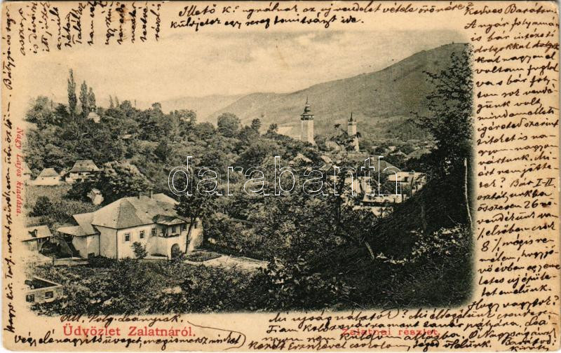 1900 Zalatna, Zlatna; Nagy Lajos kiadása (EK)