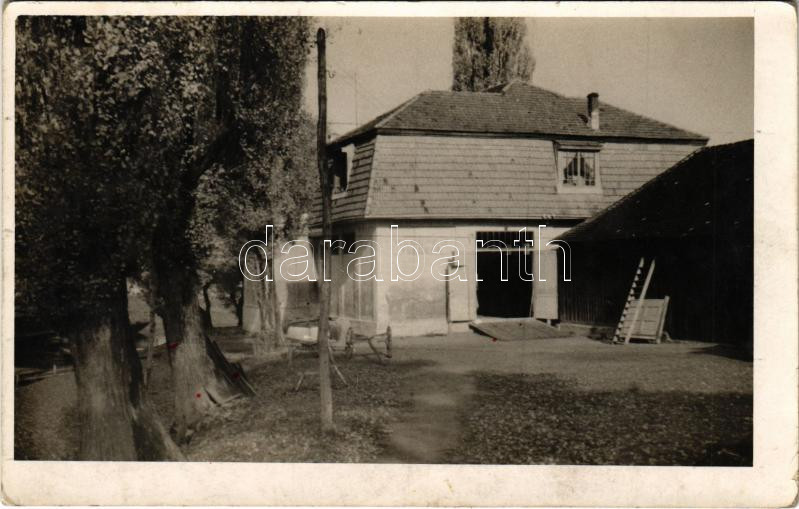 Vukovar, evezős klub / rowing club. photo (EK)