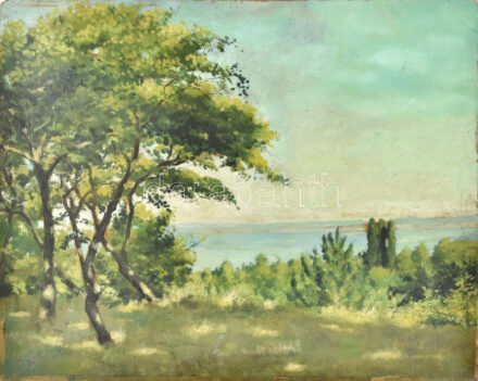 Olvashatatlan jelzéssel: Vízparti táj (Balaton?). Olaj, karton. Részben javított. 40x50 cm