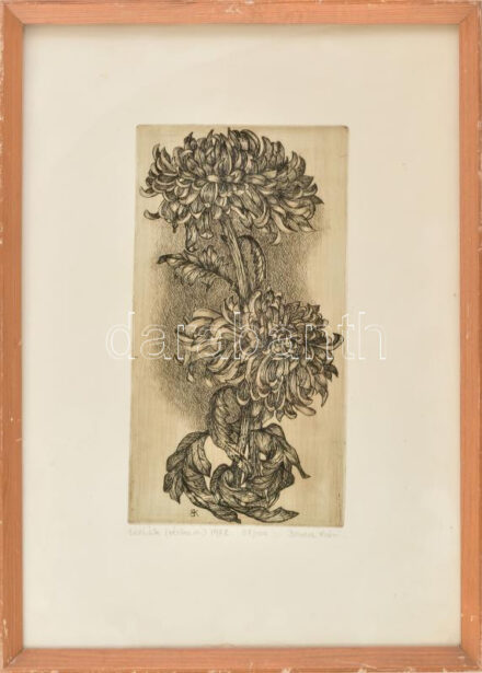 Bencze Klára (1925-): Dáliák. Rézkarc, papír, jelzett, számozott (39/100), lap alja kissé foltos, üvegezett fakeretben, 31,5×16,5 cm