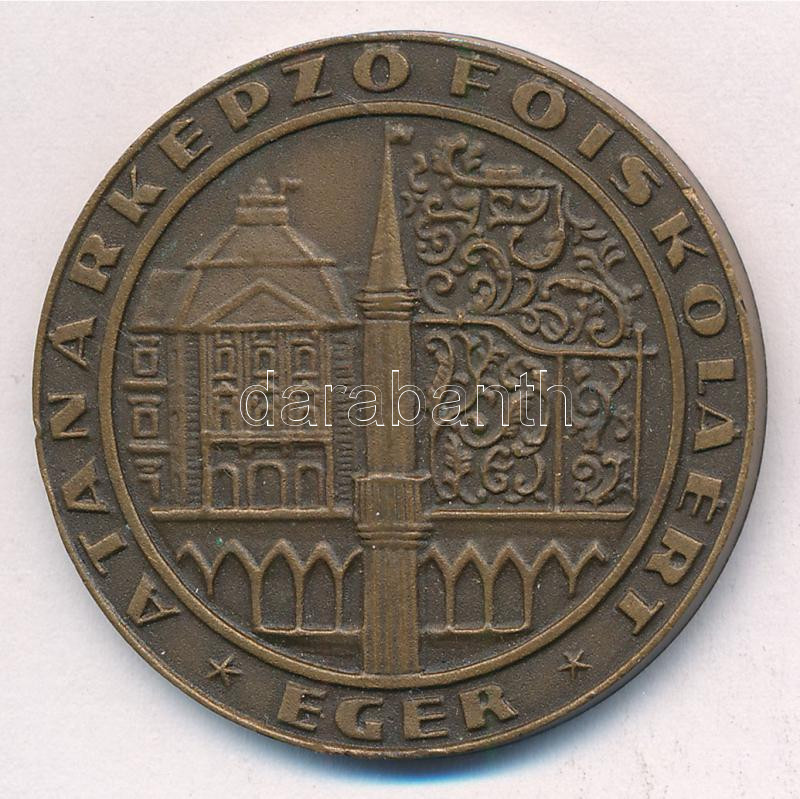 DN 'Tanárképző Főiskoláért / 10' Br emlékérem (40mm) T:1-